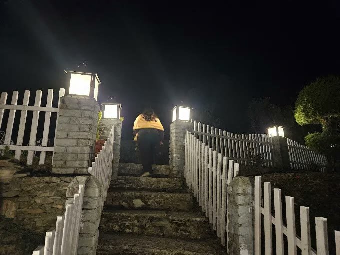 Illuminated Garden Staircase at Night