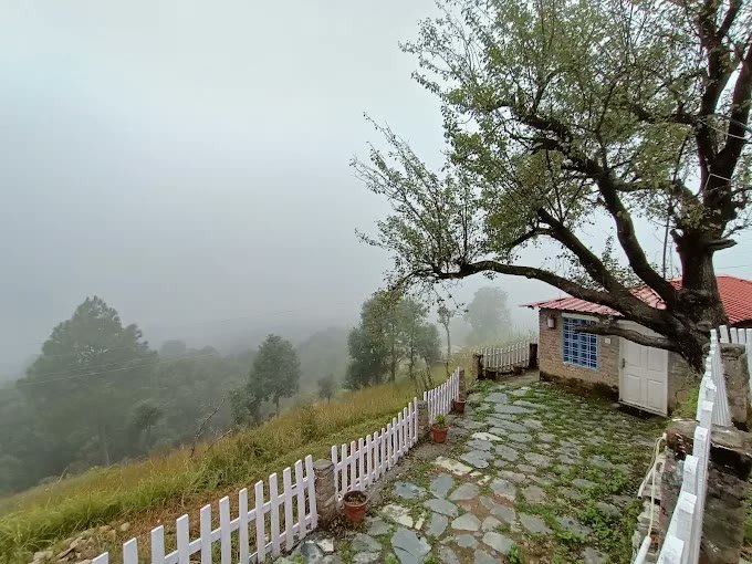 Cottage nestled under tree with mountain view