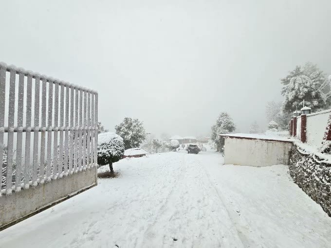Snow-Covered Entrance Gate & Driveway