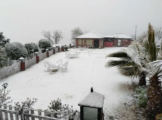 Winter snowfall blanketing lawn and cottages at Kanatal Camp